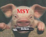 MSY-[PiggyHead Promotion] Belkin USB Wireless-N Adapter $5 ONLY (Original Price $37, $32 off)