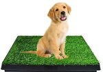 [eBay Plus] Floofi Indoor Dog Pet Potty 3Layer Training Grass Mat Toilet Loo Pad $29 Delivered @ oz.squares eBay