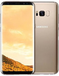 Samsung Galaxy S8 - $944 + $74.95 Shipping @ Becextech [Grey Import]