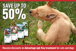 Advantage Flea Treatment – $45.00 for Any Dog or Cat 6 Month Pack, Including Delivery