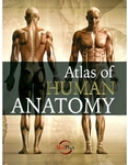 Atlas of Human Anatomy $7.79 + Shipping ($0 with OnePass) @ Catch