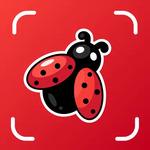 [iOS] Insect & Bug Identifier - Free Lifetime Subscription (Normally US$29.99 Per Year) @ Apple App Store