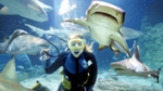 Win 2 Adults and 2 Childrens Tickets to The Melbourne Aquarium from Gold 104.3