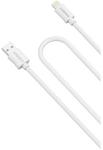 Cygnett 1m Sync & Charge Lightning to USB Cable - CY2007PCCSL $19.95 Shipped @ Sydney Electronics