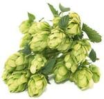 Home Brew Nelson Sauvin Whole Hops $13 for 250g + Delivery @ The Yeast Platform