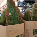 [NSW] Free Real Christmas Tree @ Coles Westfield Burwood