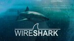 Free - Wireshark: Packet Analysis and Ethical Hacking: Core Skills (was $24.99) - Udemy