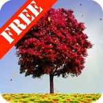 [ANDROID] Autumn Tree Live Wallpaper Free (No Code Required)