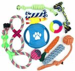 HMNXG 12Pack Dog Puppy Toys $19.99 (Was $29.99) + Delivery ($0 with Prime/ $39 Spend) @ HMNXG via Amazon AU