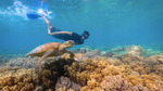 Win a Trip to Cairns, QLD for 2 Worth up to $6,485 from Pedestrian Group