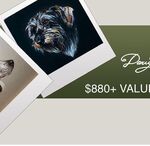 Win a Custom 9x 12 Inch Artwork of Your Pet (Worth $880) from Darcy Porter Fine Art