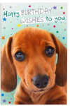 Hallmark Birthday Cards $0.75 Each + Delivery ($0 C&C/ in-Store/ OnePass/ $65 Order) @ Kmart