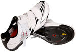 Shimano R170 Carbon Road Bike Shoes $114.95 Pickup or $127.90 Shipped @ Bikeit