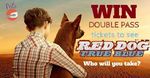 Win 1 of 20 Double Passes to The Film 'Red Dog' [South Australian Residents Only]