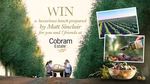Win a Luxurious Lunch at the Home of Cobram Estate for 8 Worth $31,600 from Network Ten