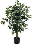 10% off Entire Artificial Tree Range and Free Shipping at Aussie Artificial Plants