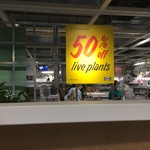 50% off Live Plants @ IKEA (Selected Stores)