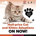[VIC] Adopt a Kitten $75 (Was $150), Cat $25 (Was $50) @ wat djerring Animal Facility (Epping)