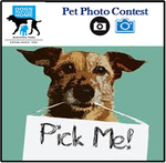 Pet Lovers Win $300 for the best Photo of Your Family Friend by donating $5 to WA Dog Refuge