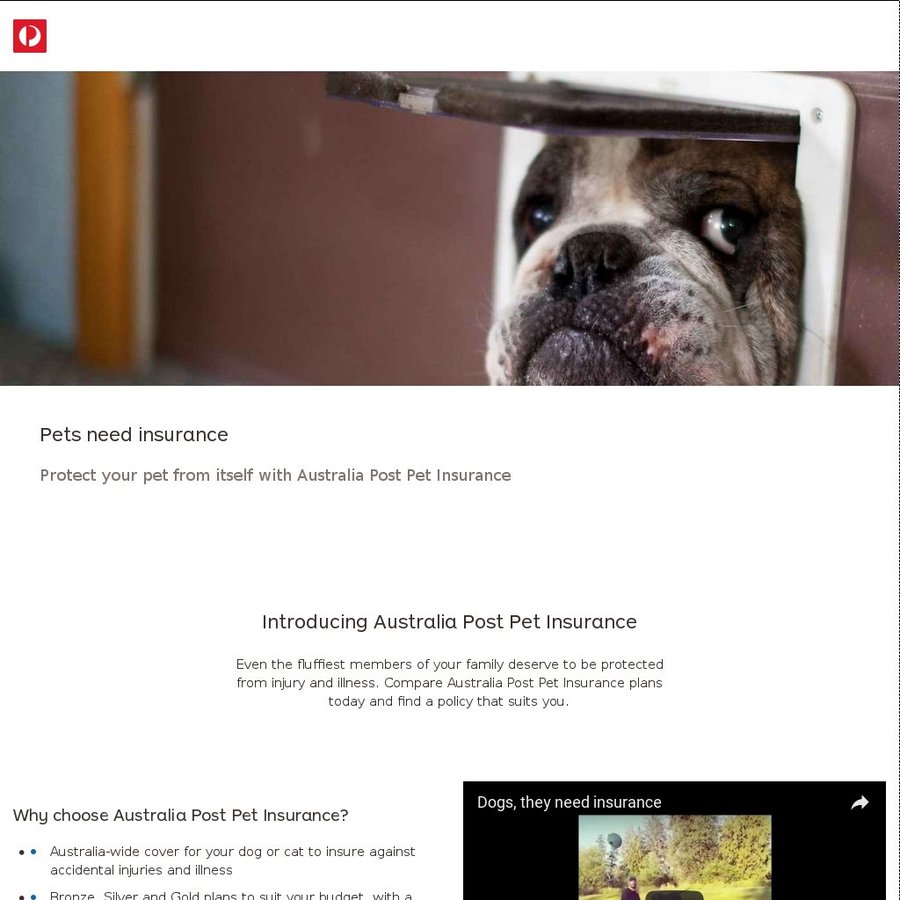 Save 15% When You Purchase a New Australia Post Pet ...