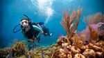 Save 25% of PADI Gear & 20% on Your PADI Open Water / Advanced Open Water Scuba Diver Licence ($203.28 / $188.32) Theory @ PADI