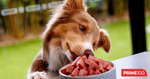 Free prime100 Dog Food Samples @ Select Pet Stores