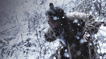 The Tiger: An Old Hunter's Tale (2015, Korean/Japanese) Movie Rental $0.99 @ Apple TV
