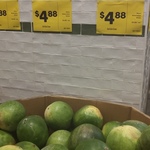 Whole Watermelon $4.88 Each @ Woolworths Hurstville NSW