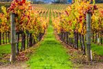 [NSW] Ultimate Winter Wine Weekend of The South Coast Wine District from $490 Per Person Twin Share @ Nobel Tours