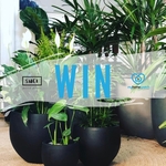 Win a Prize Pack Containing a $150 My Home Watch Services Voucher, $80 Suci Potted Plants Gift Card + More from My Home Watch