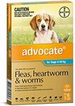 Advocate Fleas, Heartworm & Worms Treatment 4-10 kg/25kg+ Dogs, 6 Pack $59.54 / $71.69 (S&S) Shipped @ Amazon
