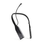 15% off Viture Pro Neckband 8GB/128GB $407.15 (Was $479) or 12GB/256GB $543.15 (Was $639) Delivered @ Viture US via Amazon AU