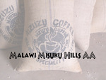 1kg Freshly Roasted Malawi Coffee $27.95 FREE Shipping @ Safari Roast