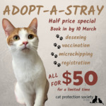 [NSW] Adopt-a-Stray for Half Price - $50 Desexing, Vaccination, Microchipping @ Cat Protection Society of NSW