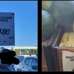 [QLD] Whole Seedless Watermelon $0.08/kg, Cauliflower $0.48/ea @ Bella Fruit Market, Eight Miles Plain