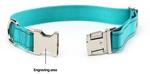 Custom Engraved Nylon Collar with Stainless Steel Buckle $9.95 Shipped (Was $20) @ Paw ID