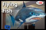 Remote Control Flying Shark or Fish $29.98 + $7.98 Delivery 