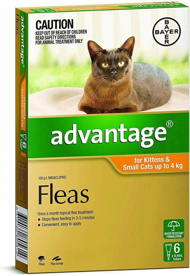 Advantage Flea Treatment for Kittens and Small Cats up to 4kg, Orange ...