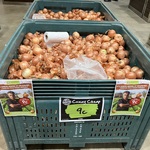 [WA] Brown Onions $0.09/kg @ Spudshed