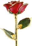 50% off 24 Karat Gold Dipped Rose + Handwritten Card $62.99 Express Delivered @ OZ Flower Delivery
