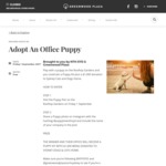 Win an Adopt an Office Puppy Pack including a 1K donation to the Sydney Dogs and Cats Home from Greenwood Plaza and NthSyd.com