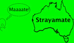 Free: Strayamate on Android and iOS with Promo Codes