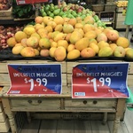 [NSW] Imperfect Mangos $1.99/kg @ Harris Farm Drummoyne