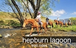 Just $55 for a 2.5 Hour Horse Ride + Food+ Drinks @Hepburn Lagoon Trail near Daylesford [VIC]