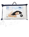 Musical Memory Foam Pillow - MP3/iPod Compatable - $39.95 + Free Delivery