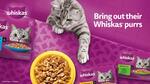 Win a $50 Voucher to Spend on Cat Food from Whiskas