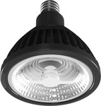 Brightgreen PR900 LED Bulb – 35 Degrees Beam Angle for $29 (Instead of $89). Free Shipping