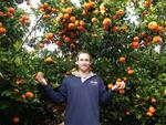 10kg Mandarin Box Fresh from The Orchard Now $35 Save $17 [Excl. TAS/NT/WA] @ Farmhouse Direct