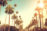 Win a Trip for Two to LA by Marie Claire and Virgin Australia (15th August)