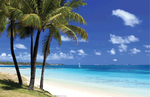 Win 1 of 2 Trips for 2 to Mauritius from Australian Radio Network [NSW / VIC]